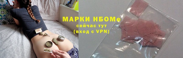 прущие грибы Горно-Алтайск