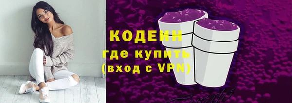 спиды Вяземский