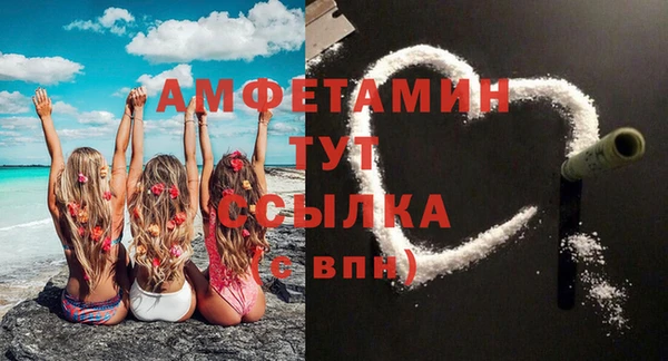 прущие грибы Горно-Алтайск