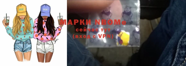 прущие грибы Горно-Алтайск