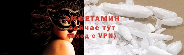 прущие грибы Горно-Алтайск
