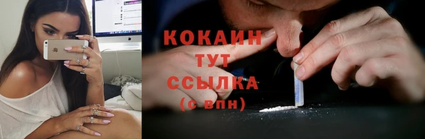 спиды Вяземский