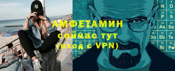 прущие грибы Горно-Алтайск