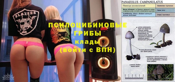 спиды Вязьма