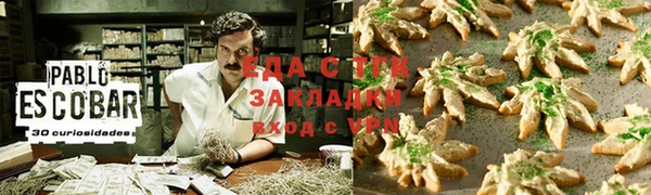 прущие грибы Горно-Алтайск