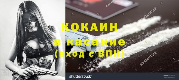 прущие грибы Горно-Алтайск