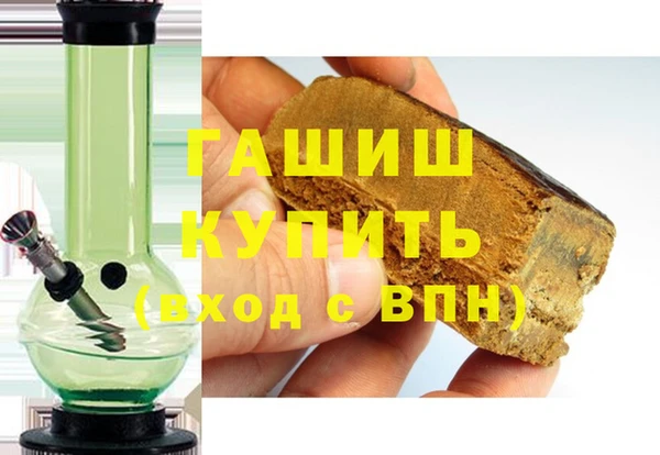 прущие грибы Горно-Алтайск