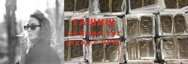 спиды Вяземский